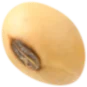 seed-1