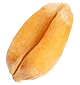seed-3