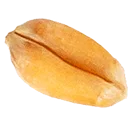 Seed Image 1