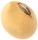 Seed Image