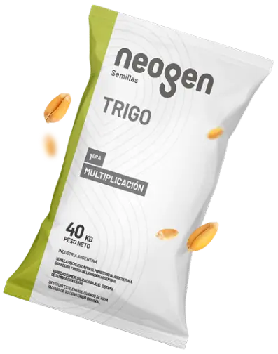 packaging