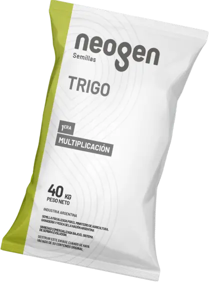 packaging