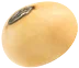 Seed Image
