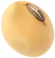 Seed Image