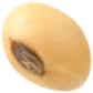 Seed Image
